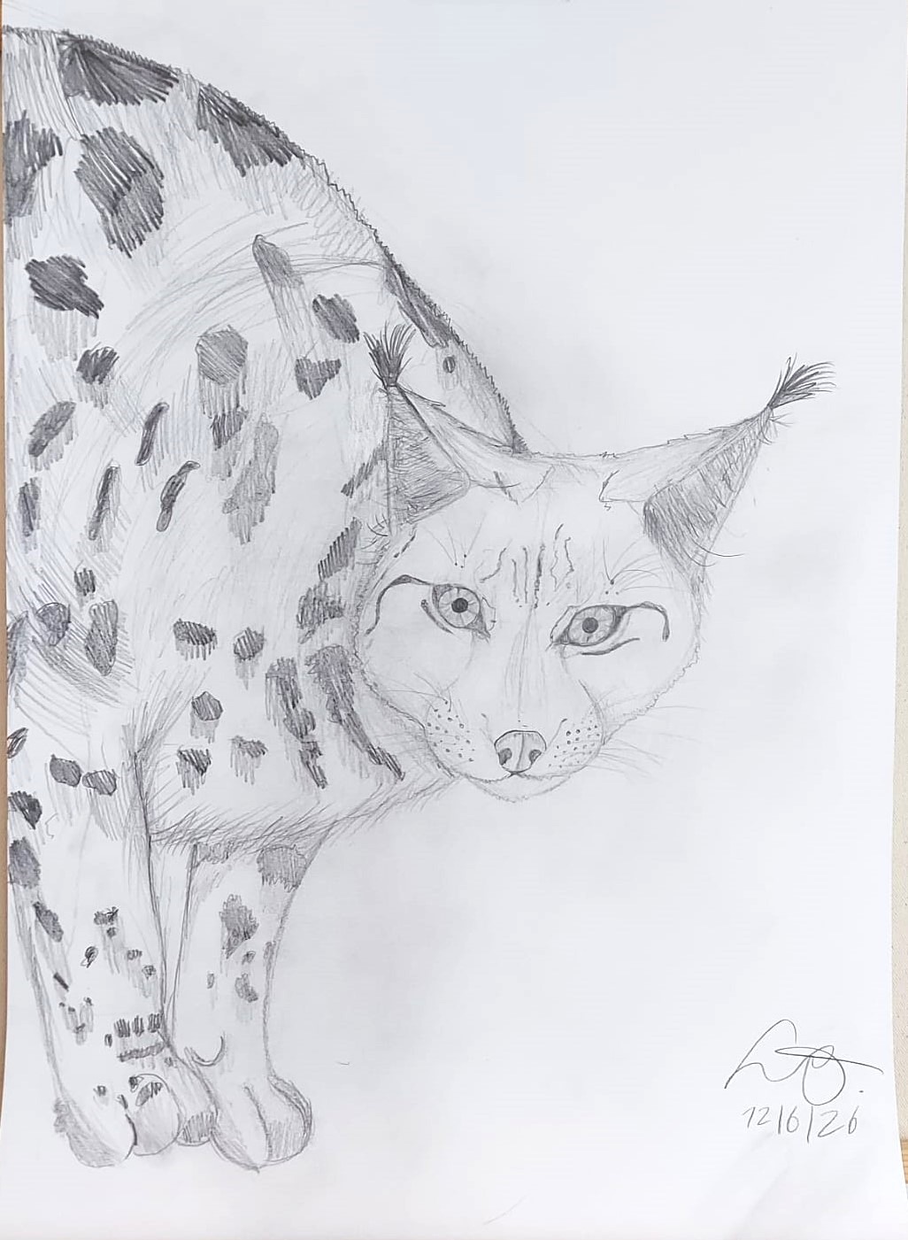 Student Art 2 - Kunst mit Tessa